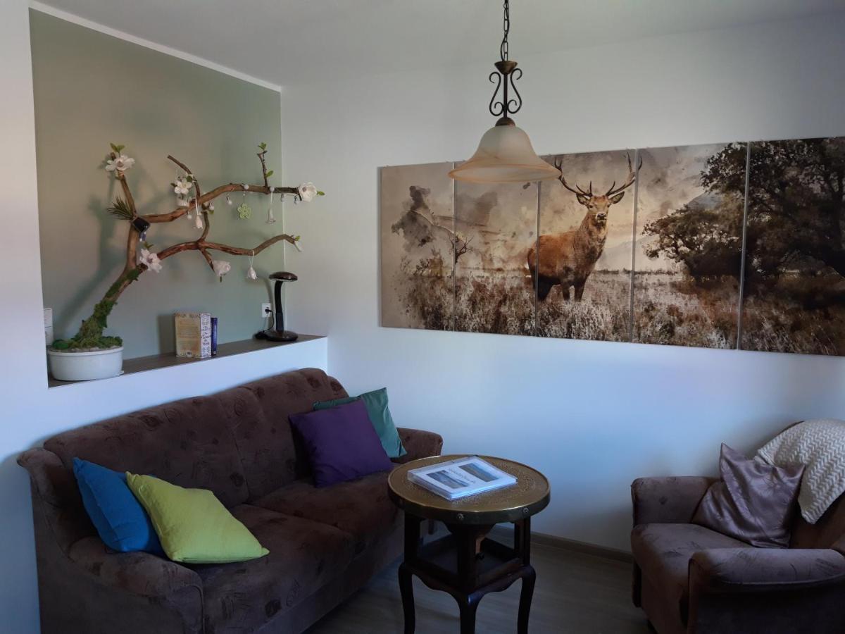 Am Riesenberg Holiday home *
